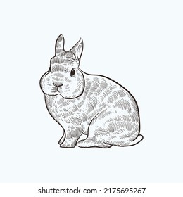 Vintage Hand Drawn Sketch Rabbit