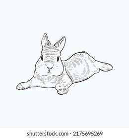 Vintage Hand Drawn Sketch Rabbit