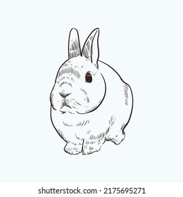 Vintage Hand Drawn Sketch Rabbit