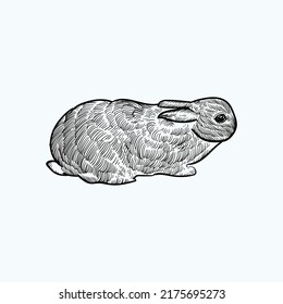 Vintage Hand Drawn Sketch Rabbit