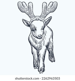 Vintage hand drawn sketch reindeer horn goat