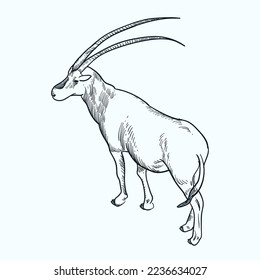 Vintage hand drawn sketch Scimitar oryx