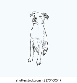 Vintage hand drawn sketch sit dog