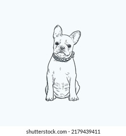 Vintage Hand Drawn Sketch Sit And Look Up French Bulldog