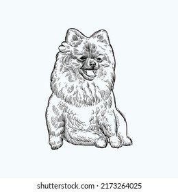 Vintage hand drawn sketch smile pomeranian dog