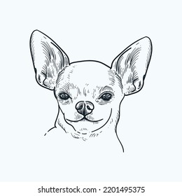 Vintage hand drawn sketch smile chihuahua dog