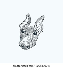 Vintage hand drawn sketch smile greyhound dog