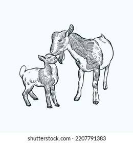 Vintage hand drawn sketch smile baby goat