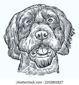 Vintage hand drawn sketch smile German Wirehaired Pointer dog