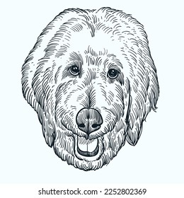 Vintage hand drawn sketch smile Golden Doodle head