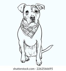 Vintage hand drawn sketch Staffordshire Bull Terrier