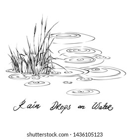Vintage hand drawn sketch style circles on the water. Vector Ink drawing rain splash drops  on the river and grass Abstract rainy weather on water surface. Drip liquid. Grass hill in the riwer swamp. 