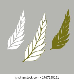 Vintage hand drawn sketch style ornament set . Vector drawing leaves.  Abstract white and olive botanical element. Plait elements. Nature style design.