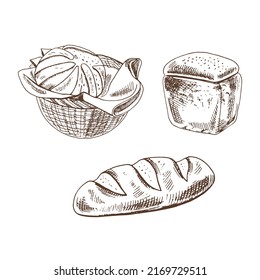 Vintage hand drawn sketch style bakery set. Bread in basket  and  pastry on white background. Vector illustration. Icons and elements for print, web, mobile and infographics.