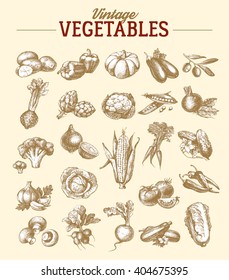 Vintage hand drawn sketch vegetable set. Eco foods.Vector illustration