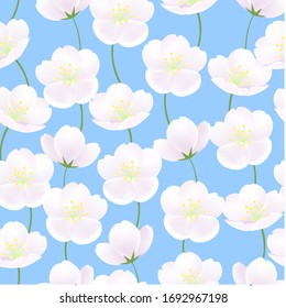 Vintage hand drawn spring realistic pink Sakura blossom vector illustration Seamless background under blue sky, summer decoration, natural plants,