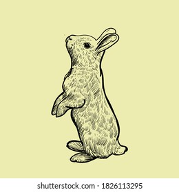 Vintage hand drawn stand up rabbit