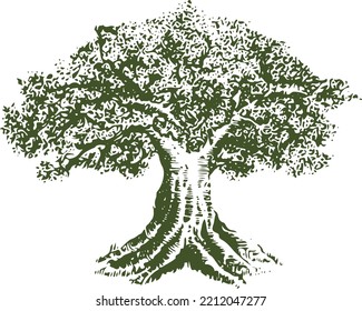 Vintage Hand Drawn Tree Illustration