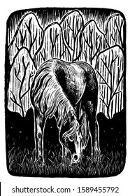 Vintage hand drawn vector illustration. Grazing horse on a background of abstract trees. Retro stamp, engraving style isolated in white. Design for poster, print, postcard, stickers, banner, t-shirt.