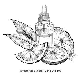 Vintage hand drawn vector illustration with Lemon slices with essential Oil Bottle and flowers. Linear illustration with Citrus fruits for cosmetic packaging, spa branding, or skincare design.