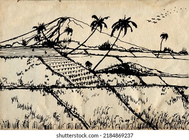 Vintage hand drawn vector nature illustration sketch mountain and rice field on main view with old paper background. Using for travel and nature background, children book, drawing book cover and card