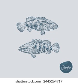 Vintage hand drawn vector poster with different type of fishes.