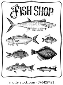 Vintage hand drawn vector poster with different type of fishes. Fish shop