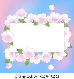 Vintage hand drawn vector sakura blossom illustration on pink blue background, banner, valentines day, wedding, invitation element, spring summer flowers