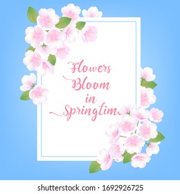 Vintage hand drawn vector spring orange flowers illustrations, branches sakura blossom flowers vector invitation card, summer decoration, wedding decoration, nature plants,