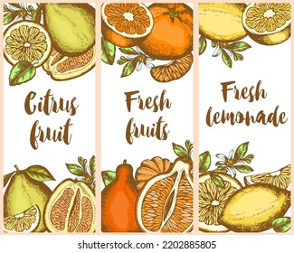Vintage hand drawn vertical labels with citrus fruits on a white background. Vector illustration.