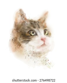 vintage hand drawn watercolor portrait of the cat