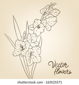 Vintage hand-drawing background with flowers. Vector illustration. 