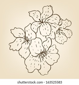 Vintage hand-drawing background with flowers. Vector illustration. 