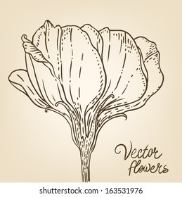 Vintage hand-drawing background with flowers. Vector illustration. 