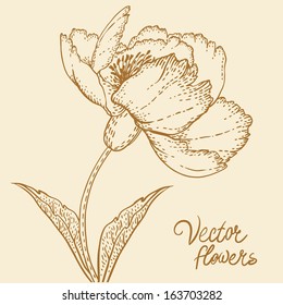 Vintage hand-drawing background with flowers. Vector illustration isolated on beige.  