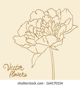 Vintage hand-drawing background with flowers. Vector illustration isolated on beige.  