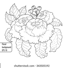 Vintage hand-drawing black and white background with flowers and leaves. EPS 10 vector illustration. Line art style.