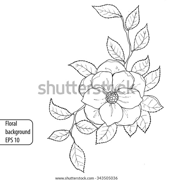 白黒の背景に花と葉を持つビンテージ手描きの画像 Eps10のベクターイラスト 線画のスタイル のベクター画像素材 ロイヤリティフリー