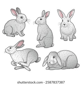 Vintage Hand-Drawn Bunny Illustrations. Adorable Grey Rabbit Illustration.