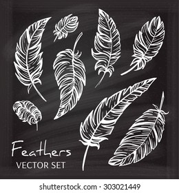 Vintage hand-drawn feathers set on a chalkboard background. 