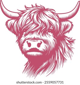 Vintage Hand-Drawn Highland Cow with Rustic Farm Detailing