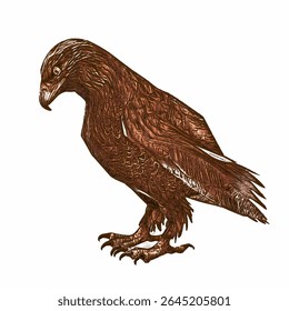 Ilustração à mão desenhada do vintage de uma águia dourada empoleirada, penas detalhadas e olhar agudo, isolado no fundo branco.
