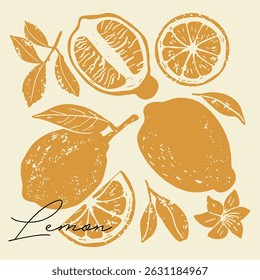 Vintage hand-drawn lemon set in black and white. Elegant botanical illustration of lemon fruits, flowers, leaves. Textured woodcut art with vintage engraving aesthetics.