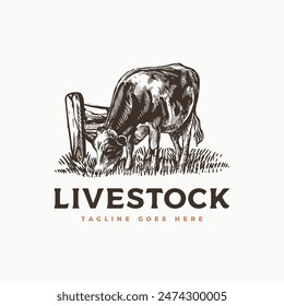 Vintage handdrawn livestock hereford cow buffalo cattle classic farm ranch for meat butchery logo design vector