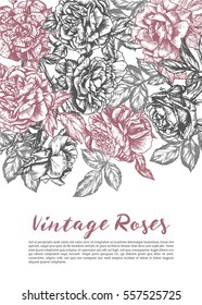Vintage handdrawn roses background with place for text, for valentine's day, wedding, women's day or any romantic event, pink and grey flowers, engraving, vector illustration