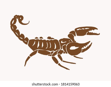 Vintage hand-drawn scorpion vector illstration,graphics