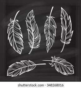 Vintage hand-drown feathers set on a chalkboard background. 