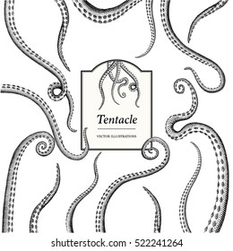 Vintage hands drawn Tentacle Illustrations