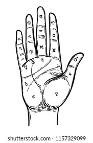 Vintage Hands. Hand drawn sketchy illustration with mystic and occult hand drawn symbols. Palmistry concept. Vector illustration. Spirituality, astrology and esoteric concept.