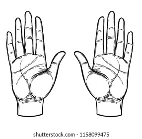 Vintage Hands. Hand drawn sketchy illustration with mystic and occult hand drawn symbols. Palmistry concept. Vector illustration. Spirituality, astrology and esoteric.